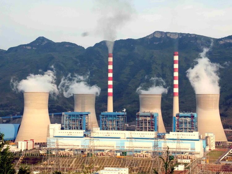 給煤機(jī)盤(pán)南電廠應(yīng)用現(xiàn)場(chǎng)