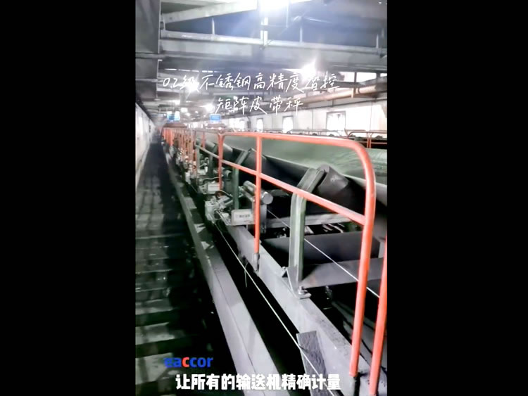 0.2級(jí)不銹鋼高精度智控矩陣皮帶秤