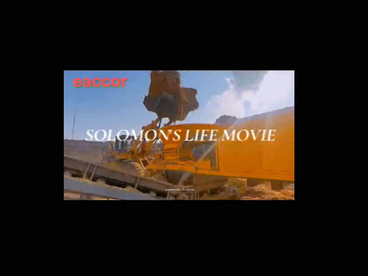 高精度智控矩陣皮帶在黑龍江宏通熱力生物質(zhì)發(fā)電...